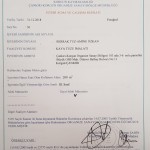 Korgun OSB Çalışma Ruhsatımız